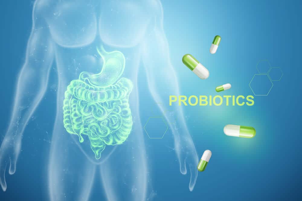 The Power of Probiotics to Prevent Colds and Flu