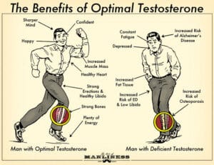 Mojo and Motivation: It could be testosterone